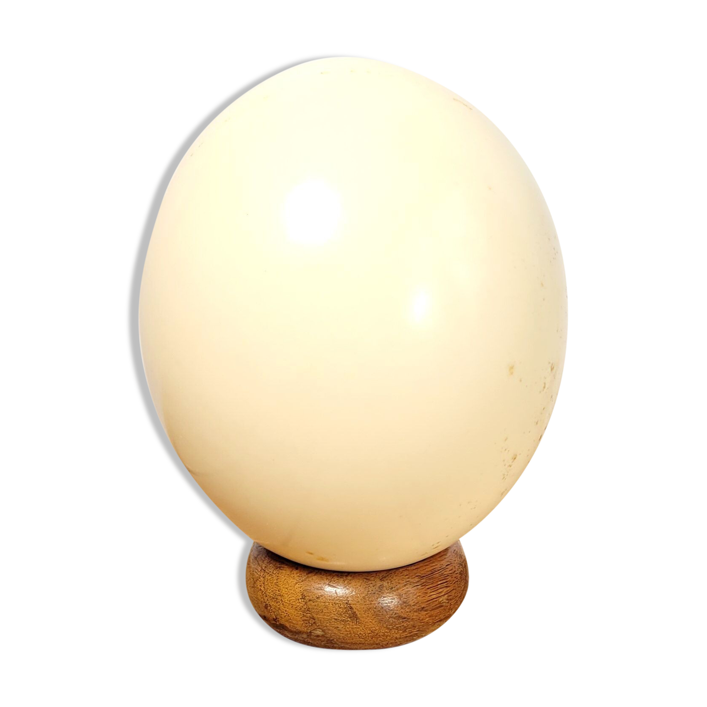 Ostrich egg on wooden base