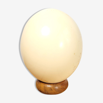 Ostrich egg on wooden base