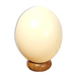 Ostrich egg on wooden base
