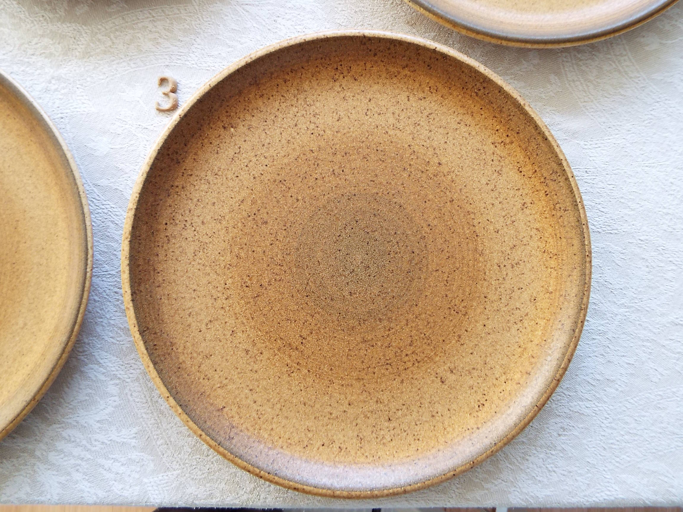 6 flat plates in Longchamp stoneware