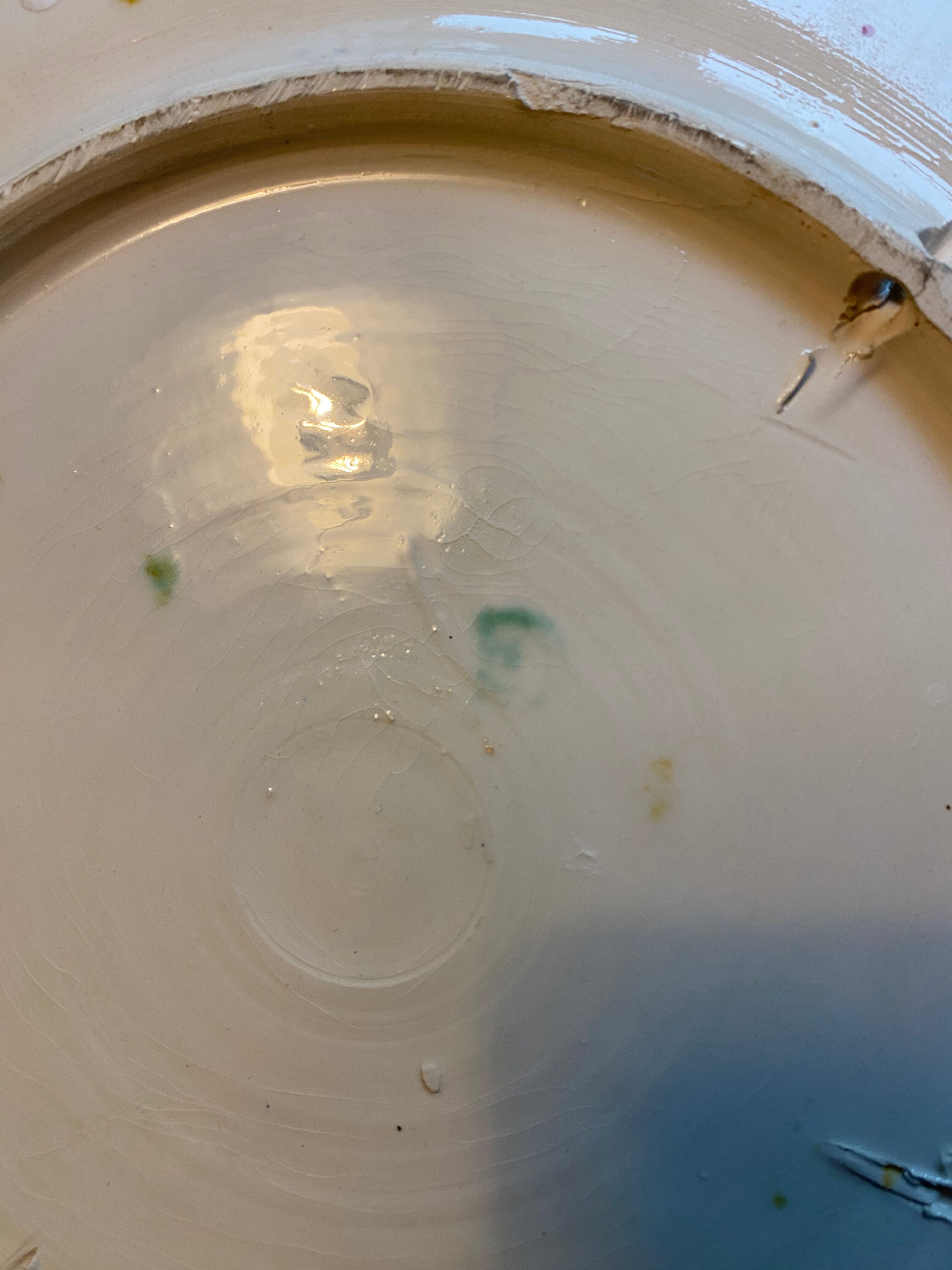 Portuguese Pottery Palissy Ware Plate