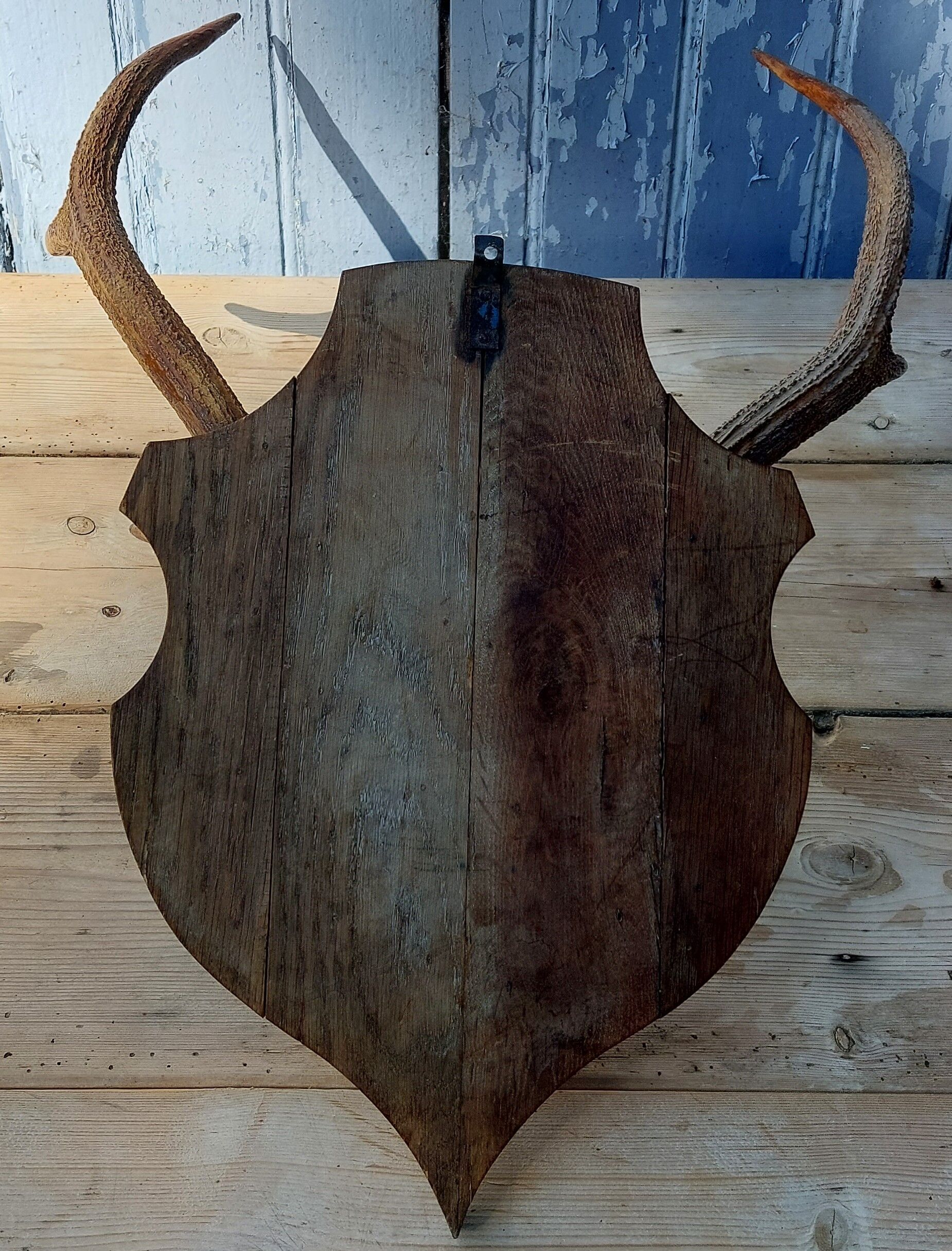 Deer massacre trophy