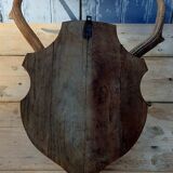 Deer massacre trophy