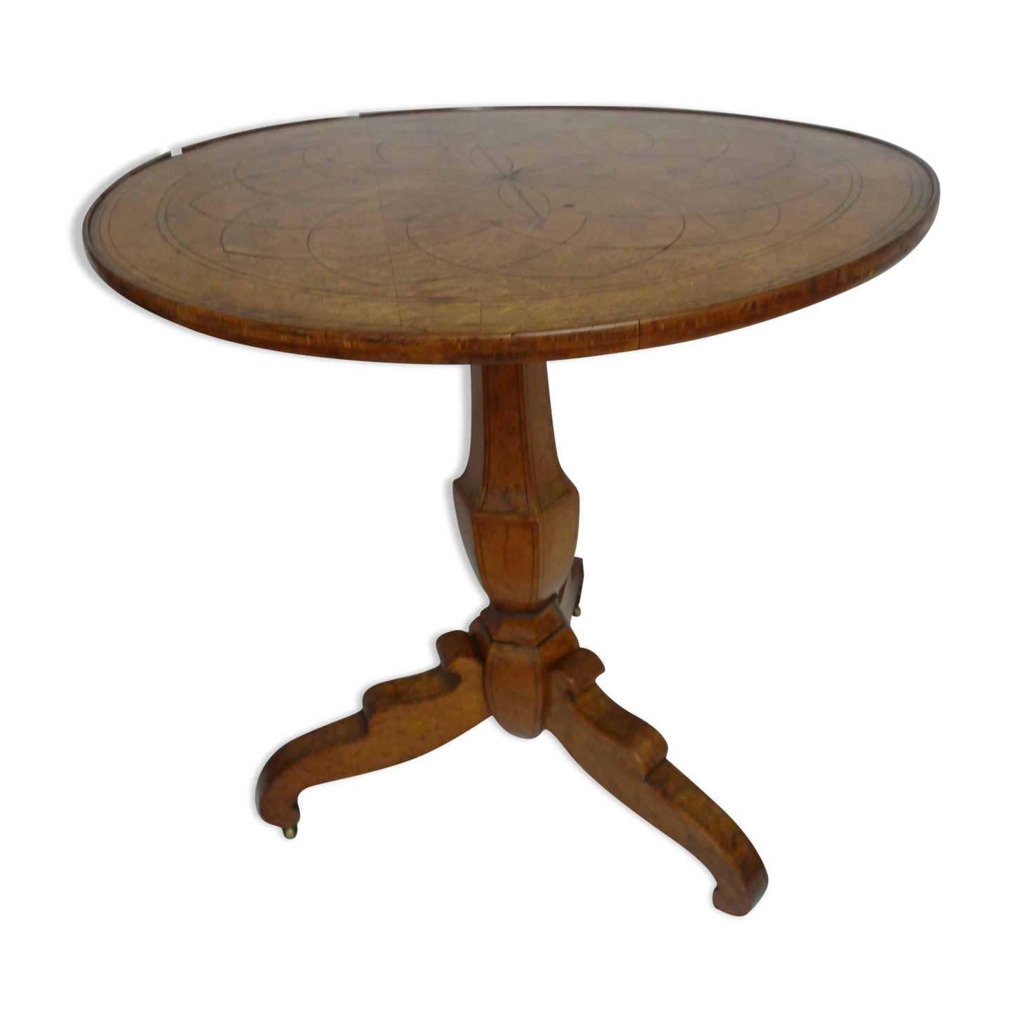 Tipping gerdone lemon tree magnifying glass