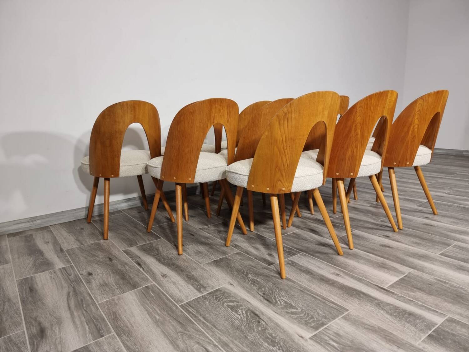 Dining Chairs from Antonin Suman, 1960s, Set of 12