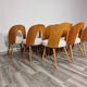 Dining Chairs from Antonin Suman, 1960s, Set of 12