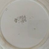 12 antique floral plates bistro & guest table style