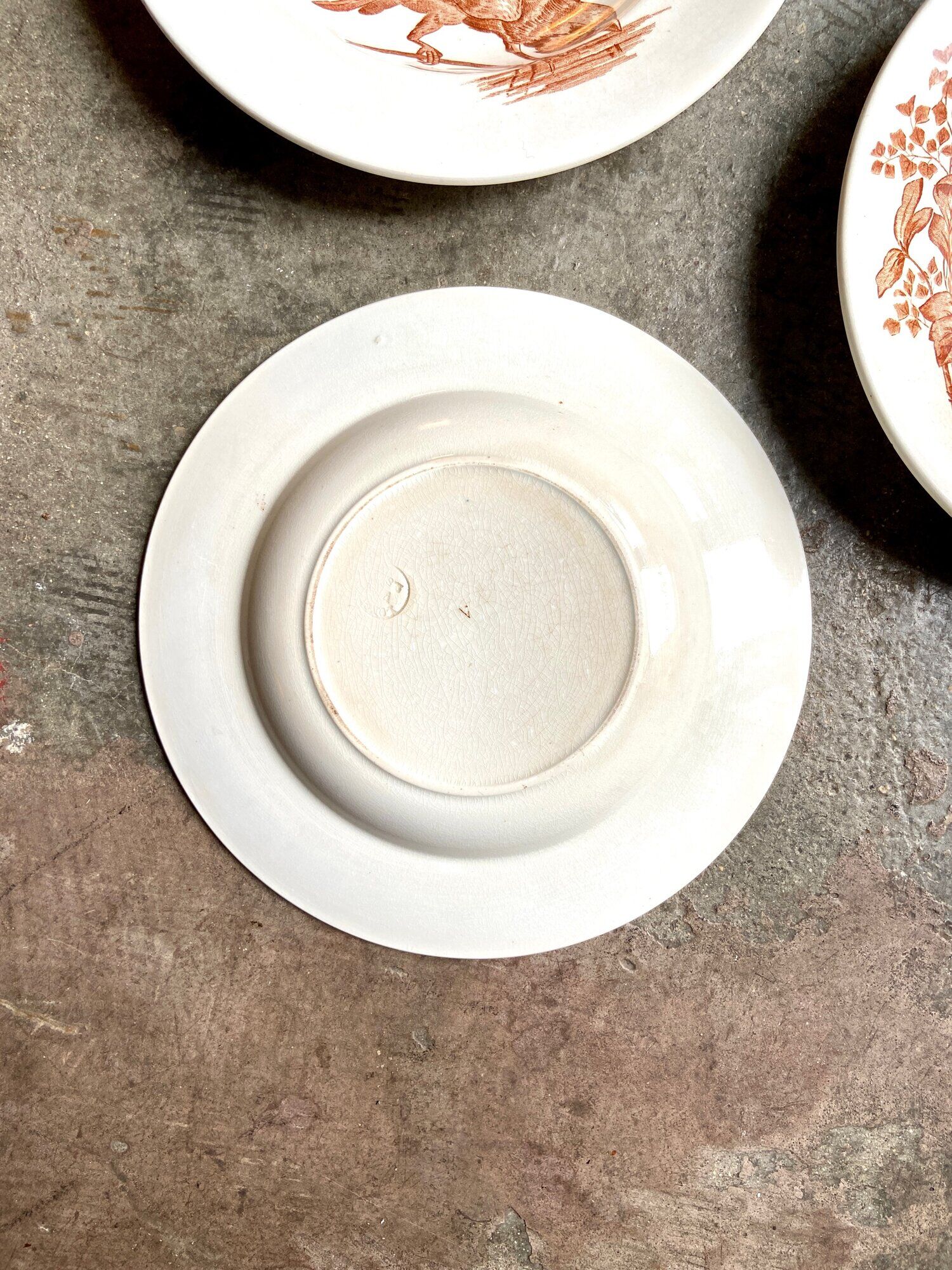 3 Longwy hollow plates in white and brown iron earth