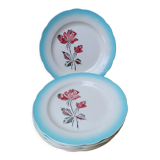 Digoin ceramic plates