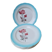 Digoin ceramic plates