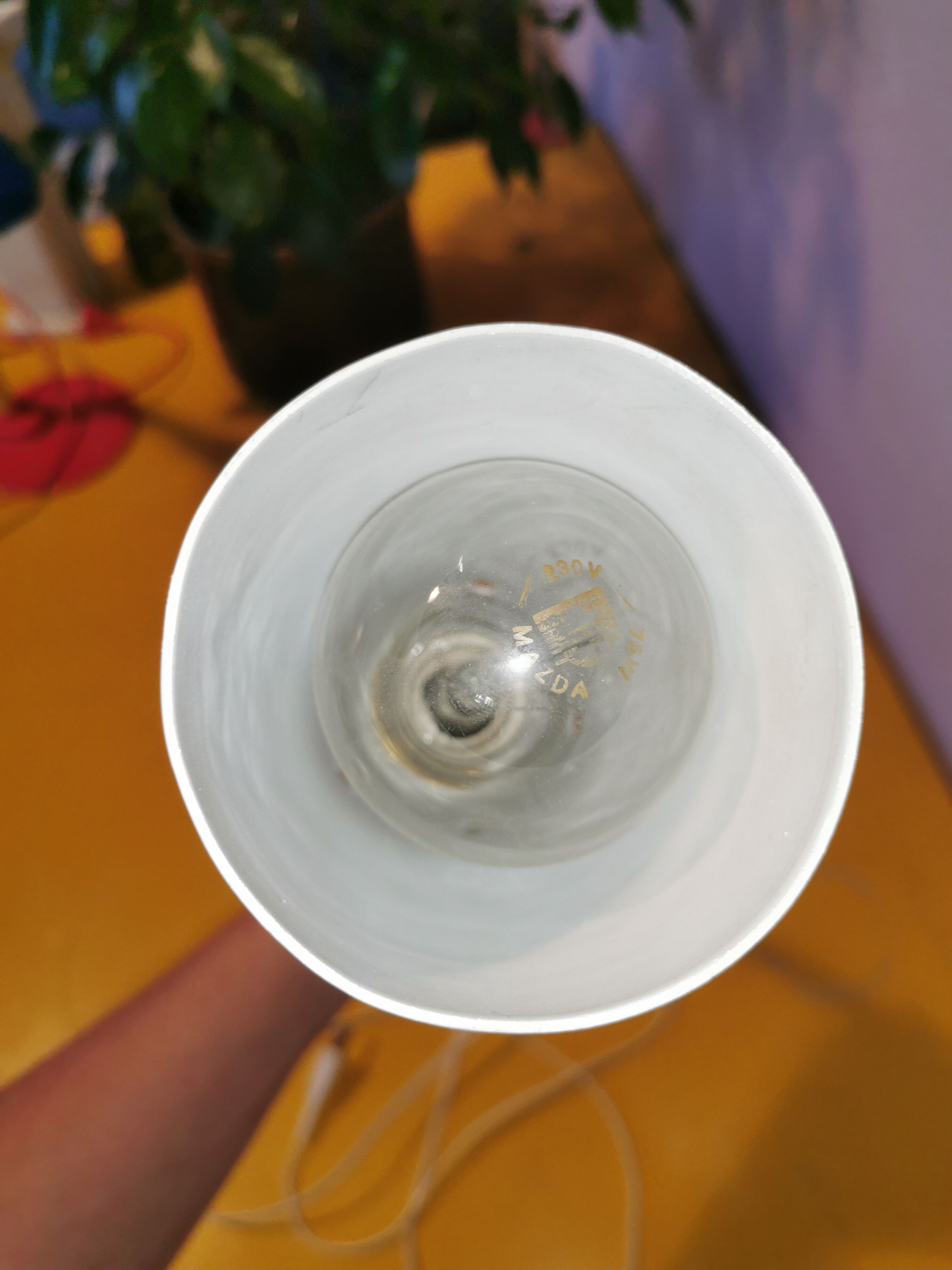 Kieklair natural science lamp, France, 1958