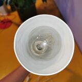 Kieklair natural science lamp, France, 1958