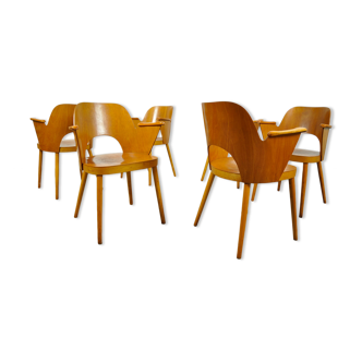 Set of beech dining chairs by Oswald Haerdtl by Thonet 1950s