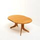 Solid Pine Dining Set by Rainer Daumiller for Hirtshals Savvaerk, Denmark