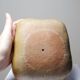 Small sculptural Venus in sandstone, bust of a woman, signed vintage, 90s