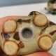 Ceramic elephants as a salt and pepper set made for Danish Søholm 1970-1980s.