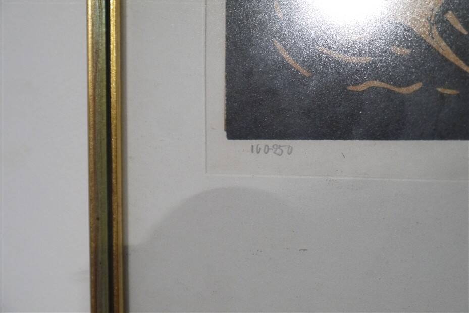 Swedish lithography by Ake Holm