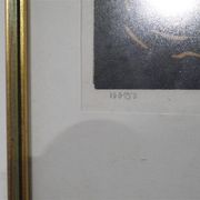 Lithogarphie suedoise de Ake Holm