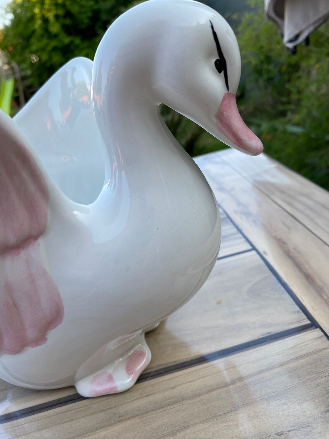 Swan plant pot