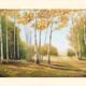Cuadro con paisaje de álamos pintado al oleo sobre lienzo. Oil painting