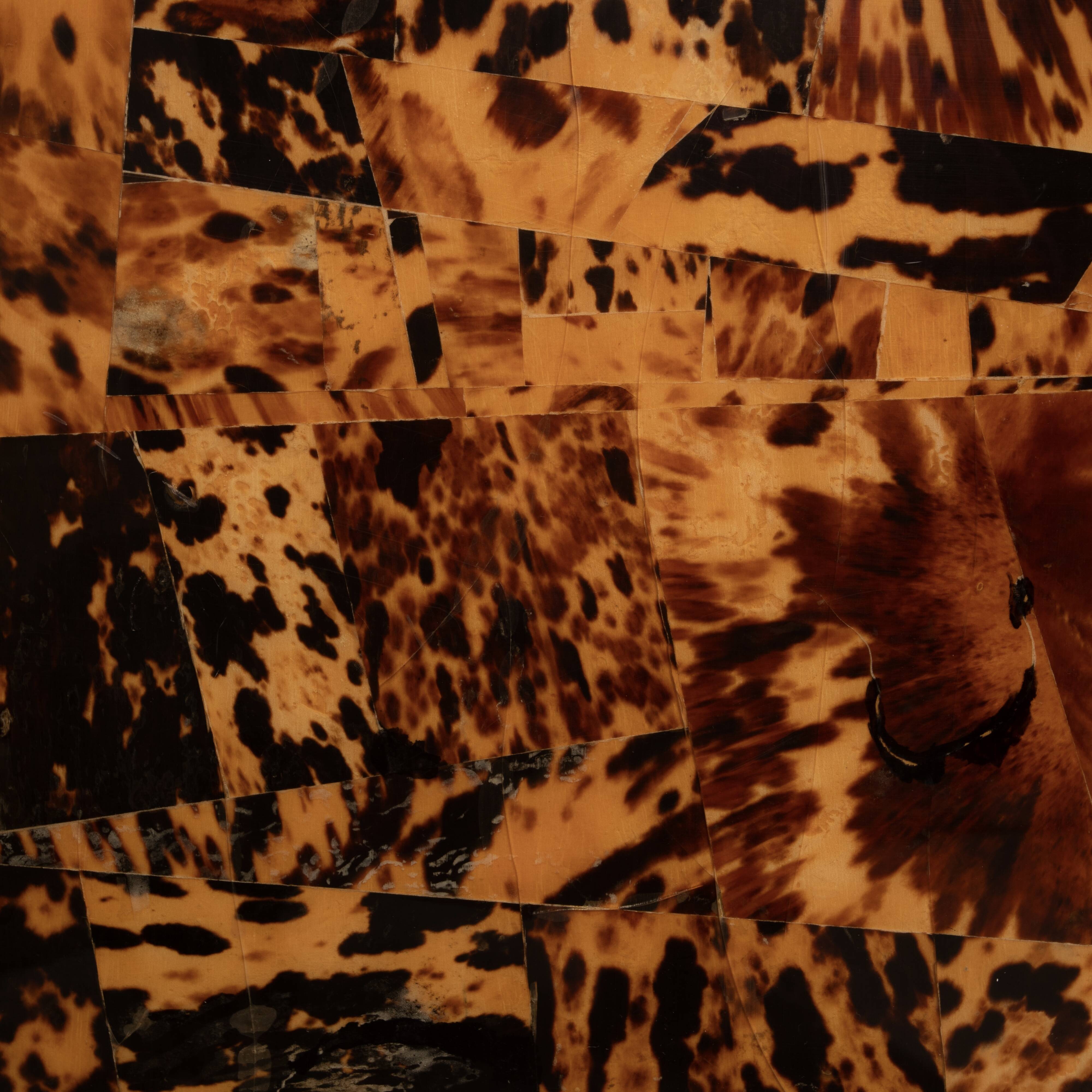 Unique Tortoiseshell Cabinet by Roberto Jodice for Ottini Milano 1974