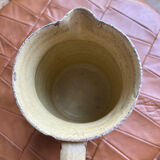 Marbled pitcher