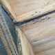 Malle bombée vintage en bois du XIXème