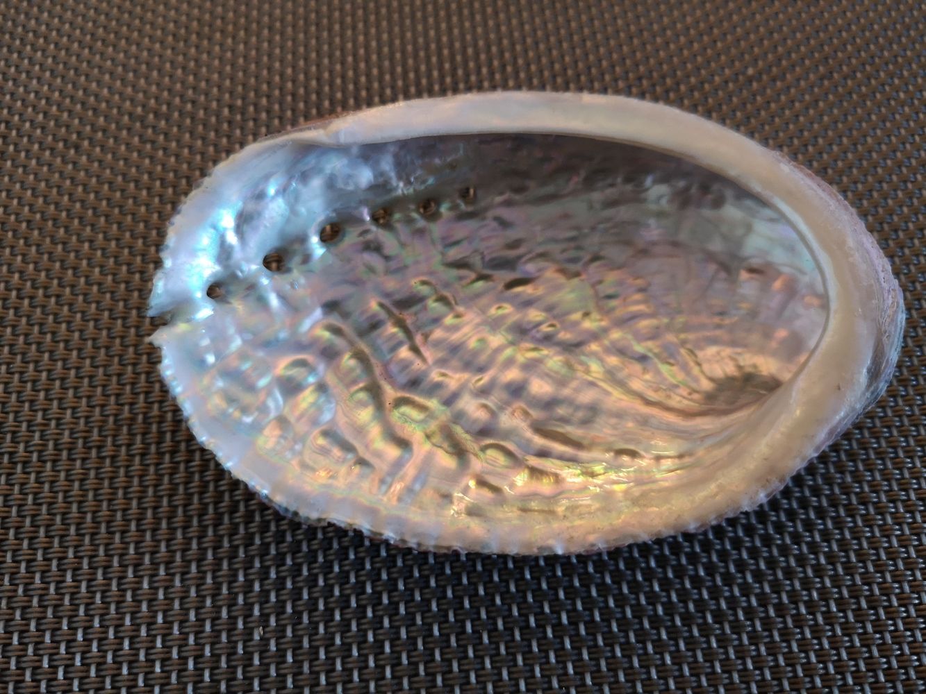 Duo of vacuum pearlescent bags in abalone shell