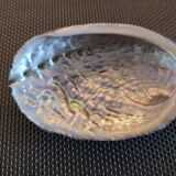 Duo of vacuum pearlescent bags in abalone shell