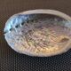 Duo of vacuum pearlescent bags in abalone shell