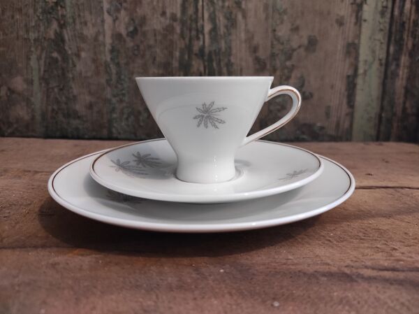 Ensemble de café en porcelaine Vintage Mitterteich Bavaria