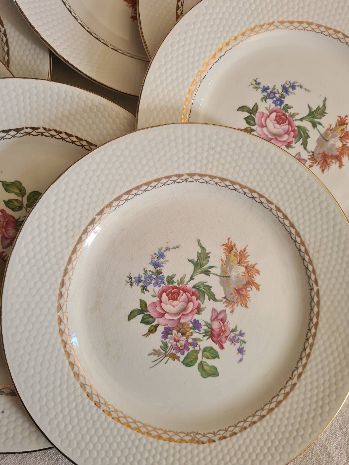 Amandinoise flowered dinner plates