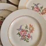 Amandinoise flowered dinner plates