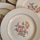 Amandinoise flowered dinner plates