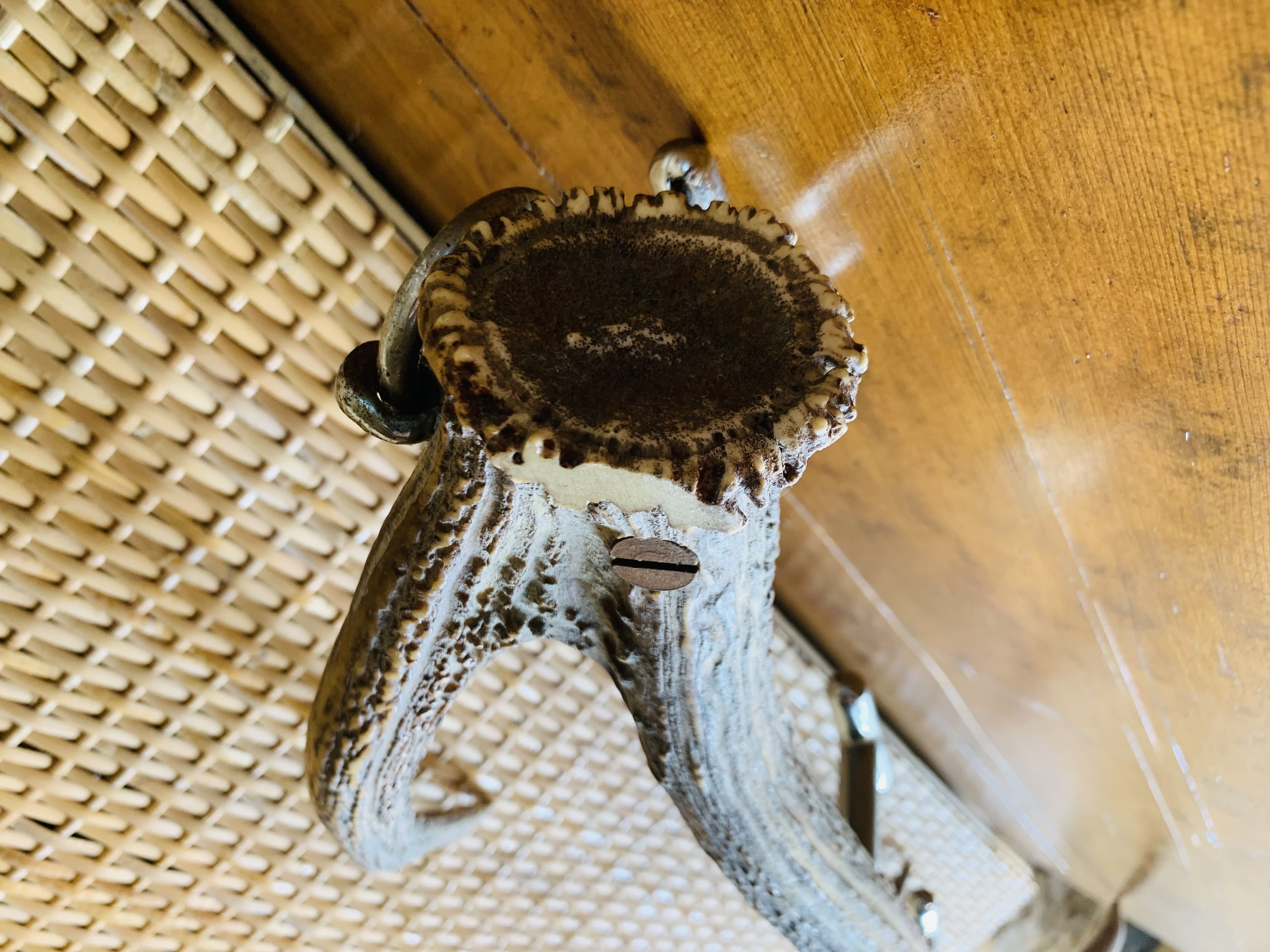 Deer antler coat rack 3 hooks