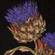 The artichoke