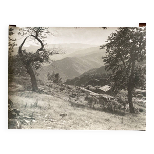 Photo argentique Bernard - montagne