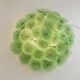 Contemporary Floreal Green Murano Glass Flush Mount by Simoeng