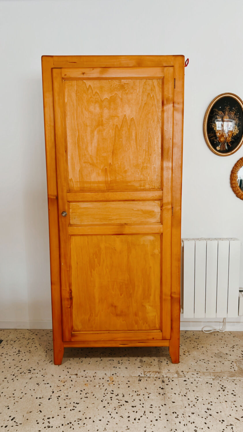 Boarding cabinet a vintage door