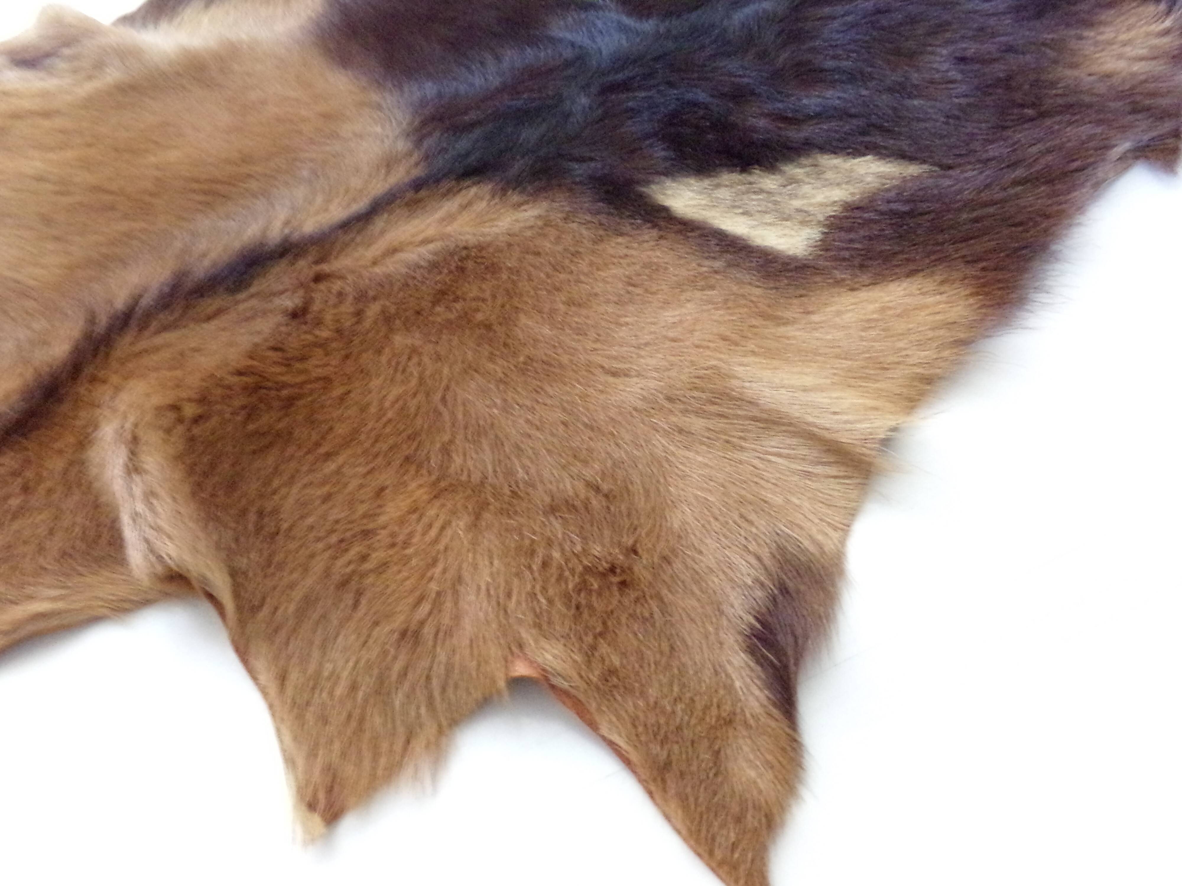 Real goat skin