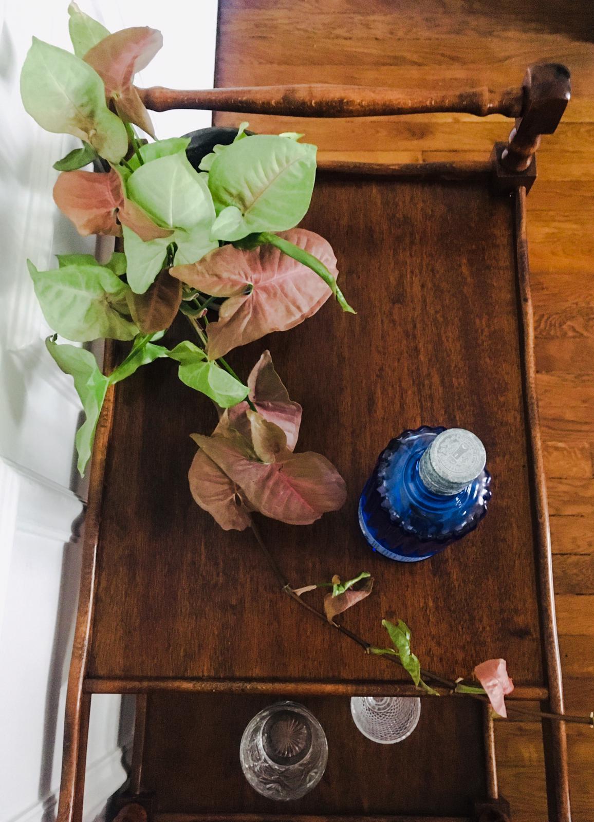 Vintage dessert year 50