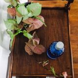 Vintage dessert year 50