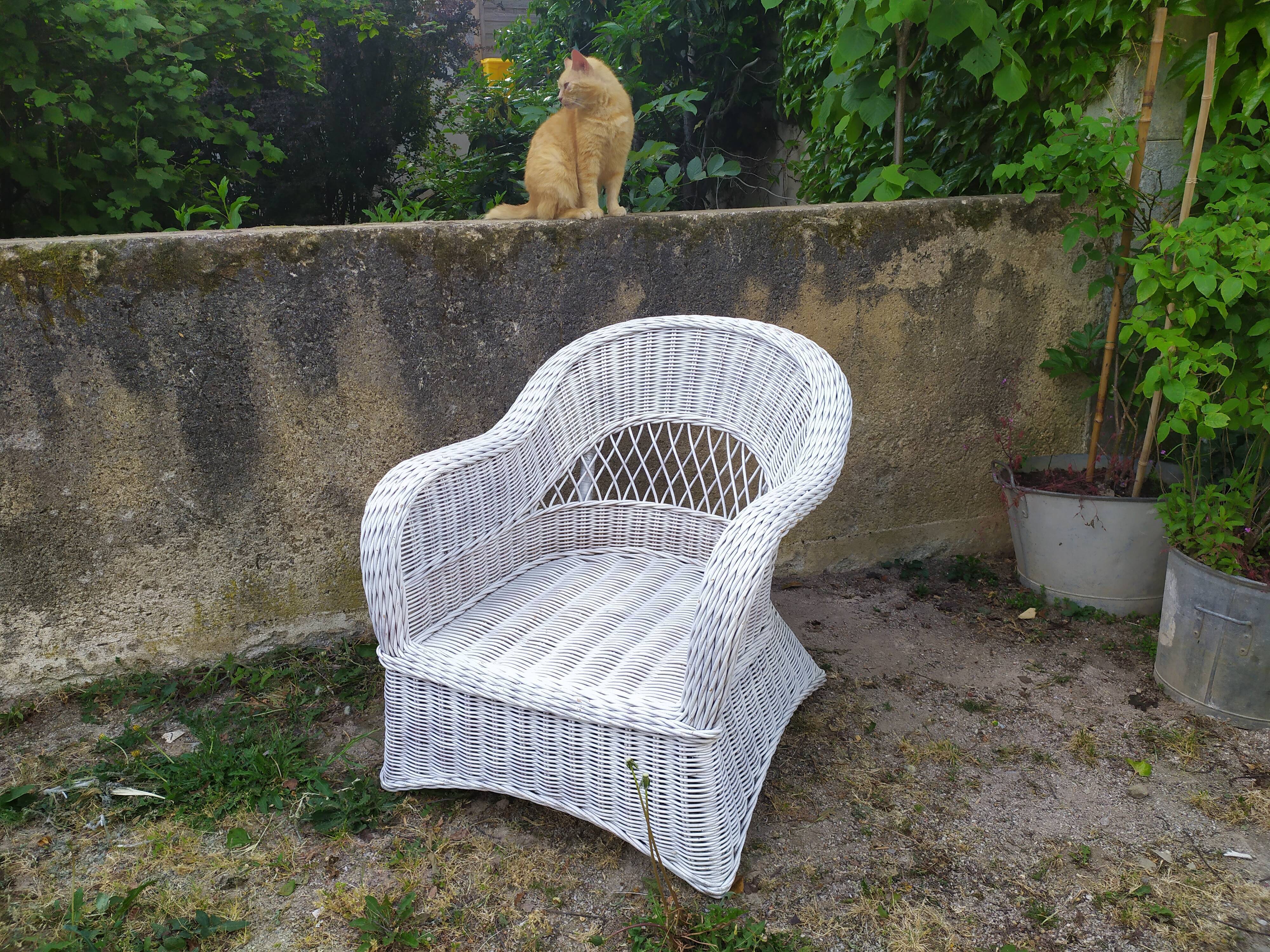 Rattan armchair