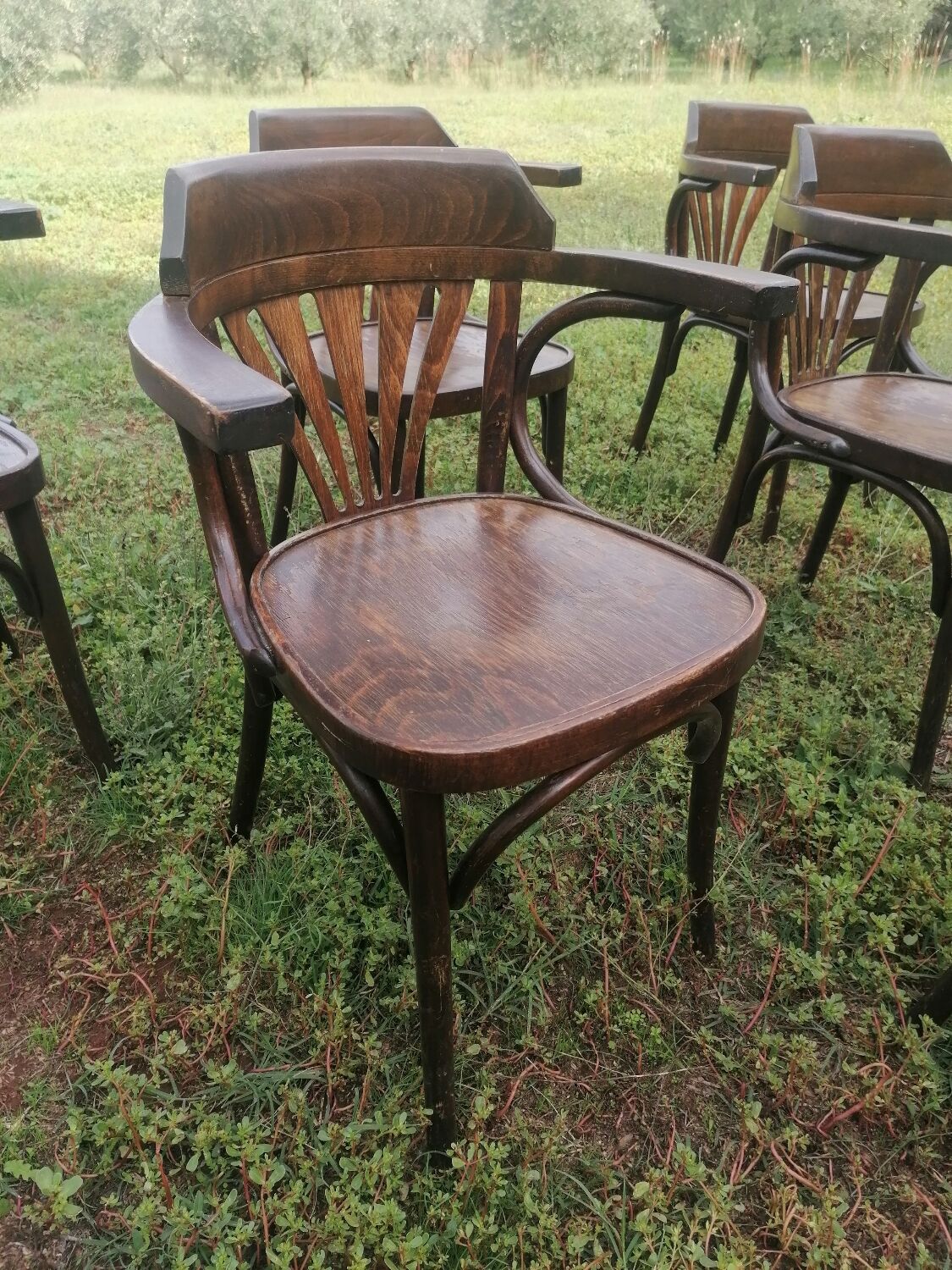 Set of 30 vintage bistro armchairs