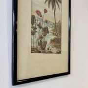 Vintage Print of Lotus Flower and Palm Tree Black Frame