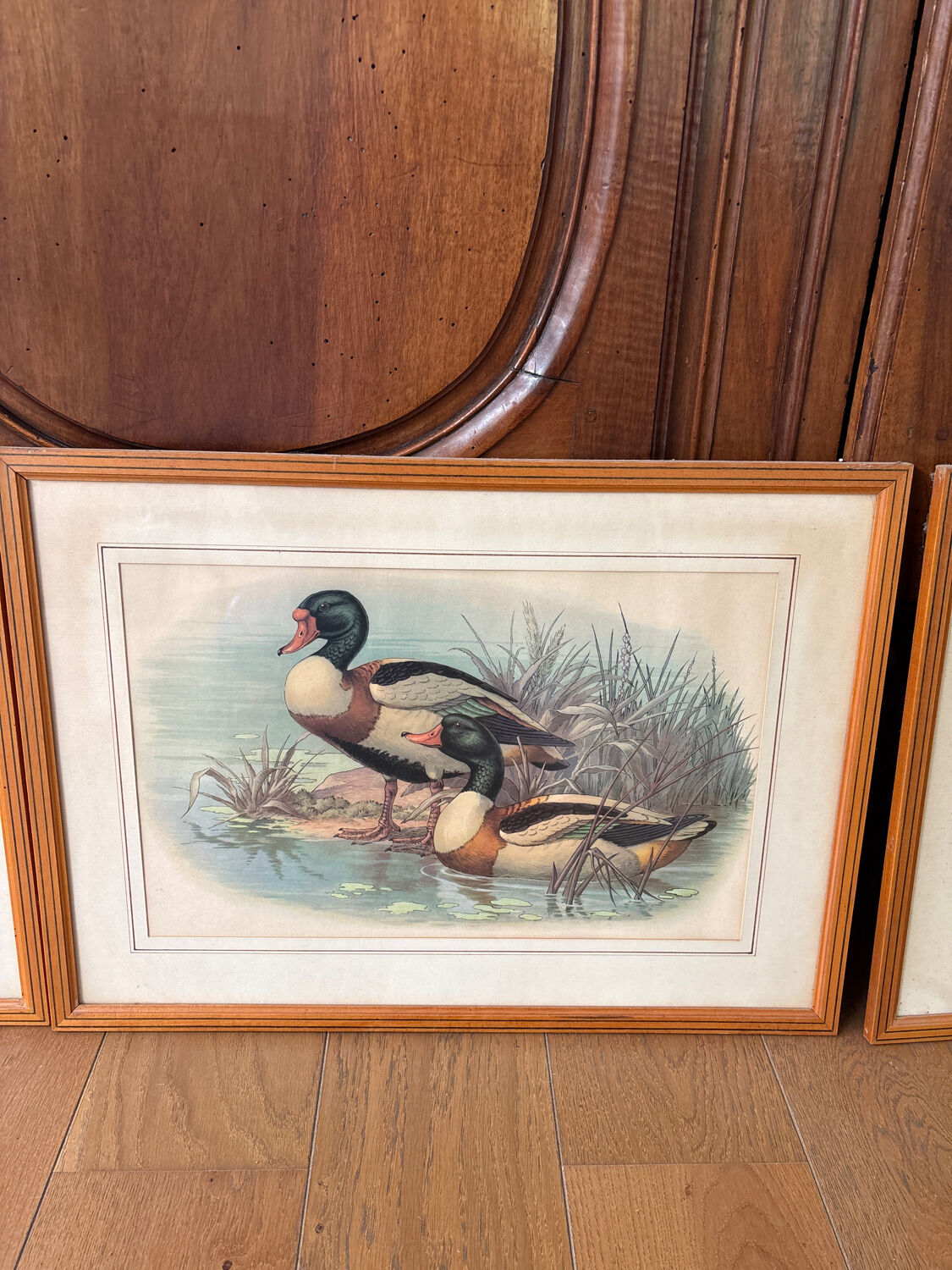 3 prints of ducks and partridges