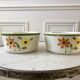 Duo of Gien flower bowls hand painted 60s-70s