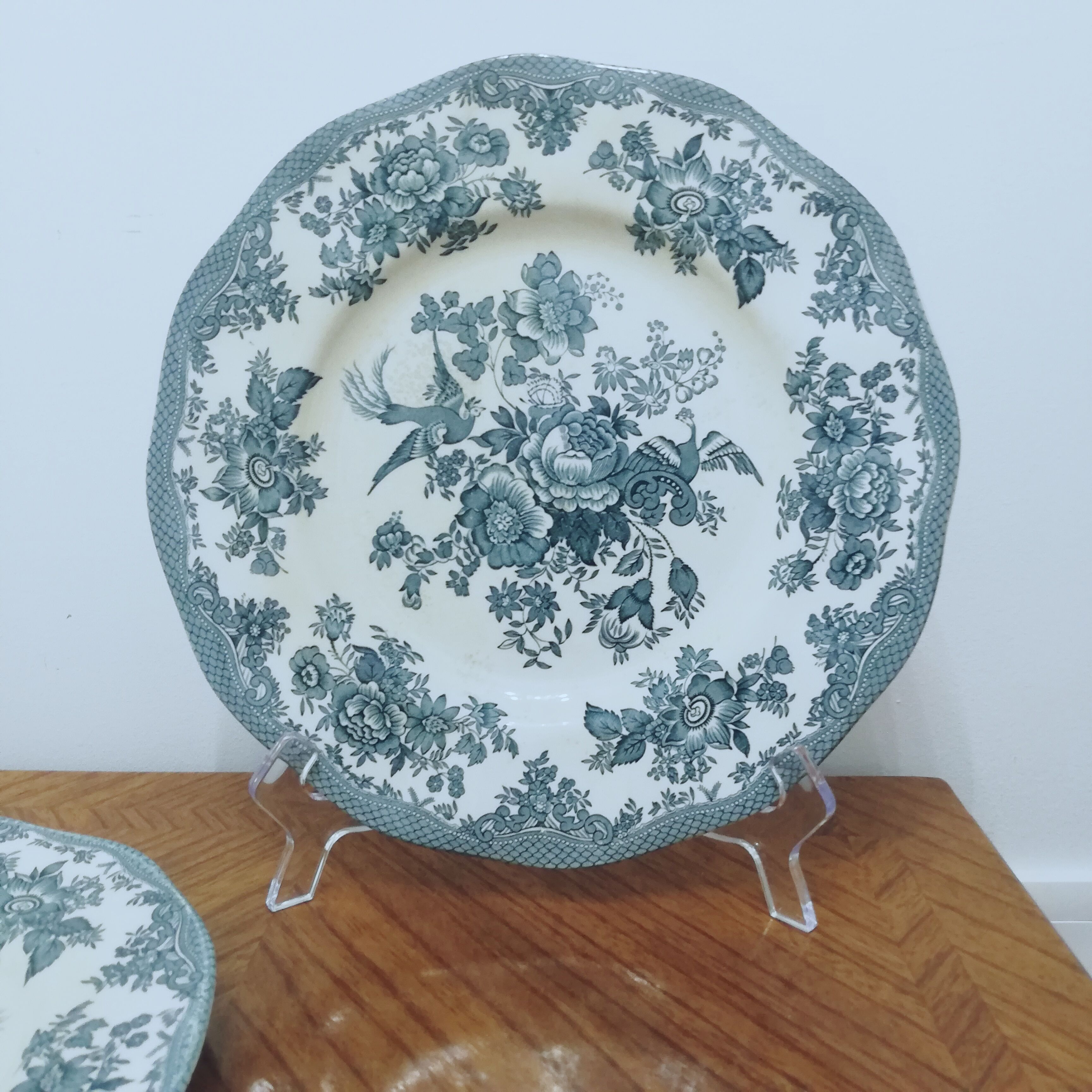 6 earthenware plates Enoch Wedgewood décor "asiatic pheasants"