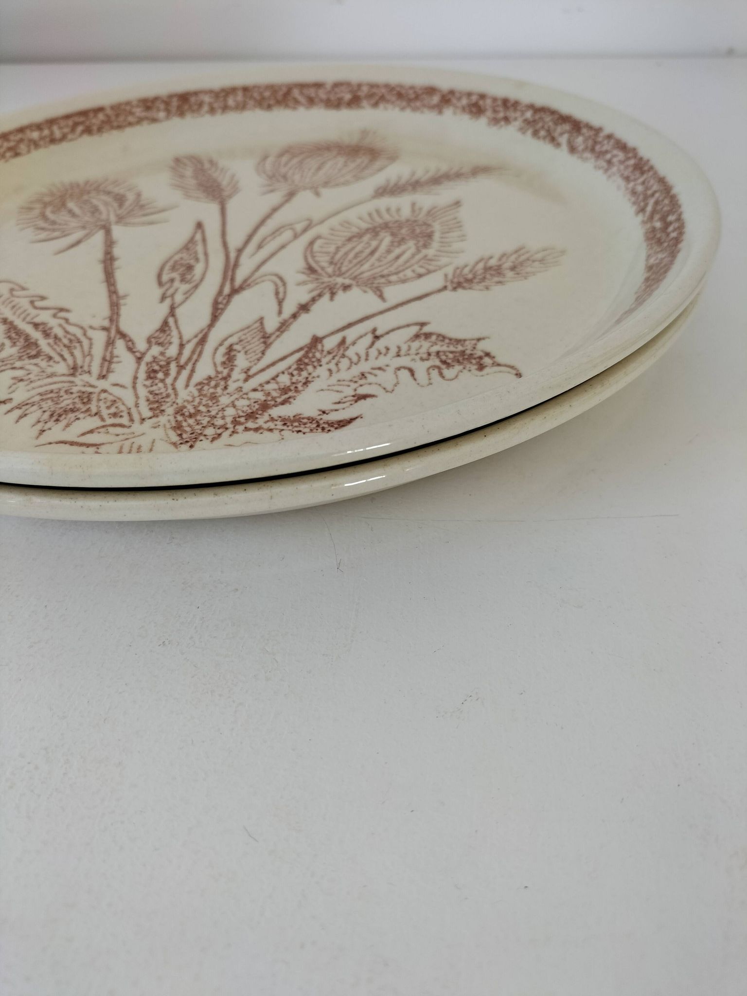 A pair of vintage plates with a rust-brown thistle design – 1950s.