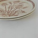 Pair of vintage plates with rusty brown thistle decoration – 1950s